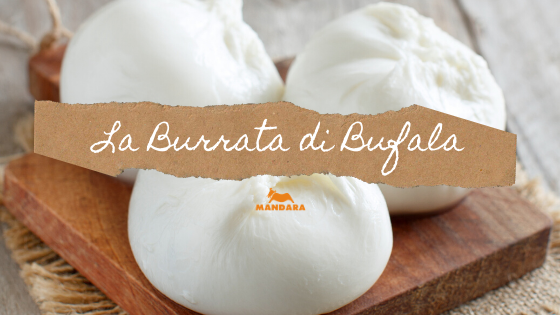 Burrata di bufala Mandara