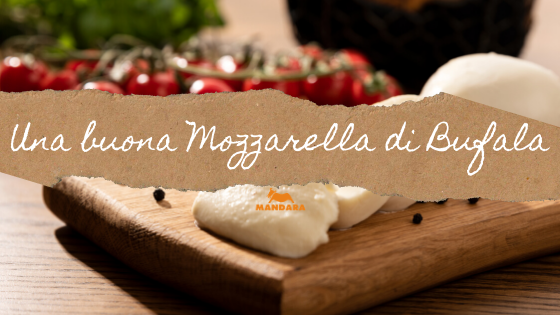 Come riconoscere una buona mozzarella di bufala ...