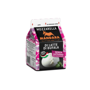 Mandara-Brik-100g-Mozzarella-MLB-SENZA-LATTOSIO-Visual-Ver-2026-scaled